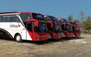 Mobil Pengantin Tips Sewa Bus Jakarta untuk Kelancaran Perjalanan Bisnis Anda